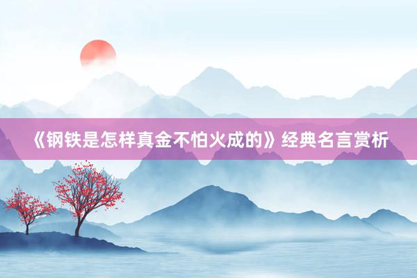 《钢铁是怎样真金不怕火成的》经典名言赏析