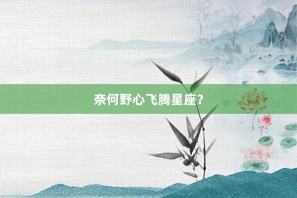 奈何野心飞腾星座？
