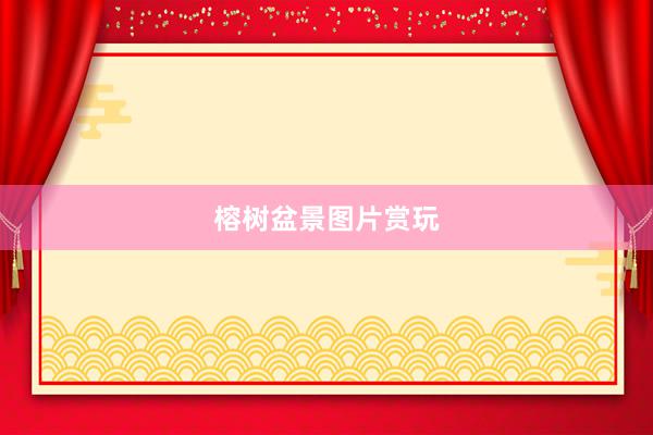 榕树盆景图片赏玩